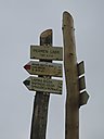 IMG_1304
